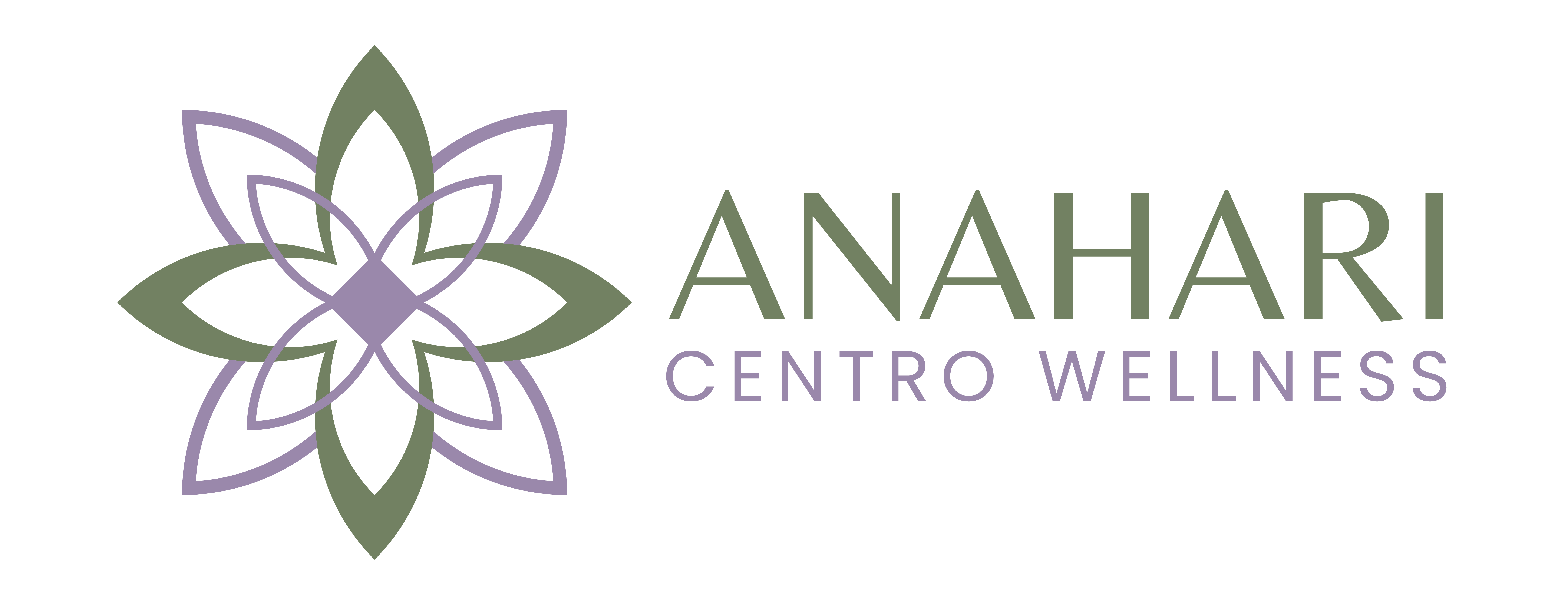 png_ logo anahari-03